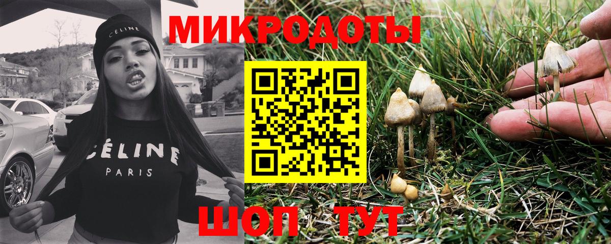 Псилоцибиновые грибы мицелий Зерноград